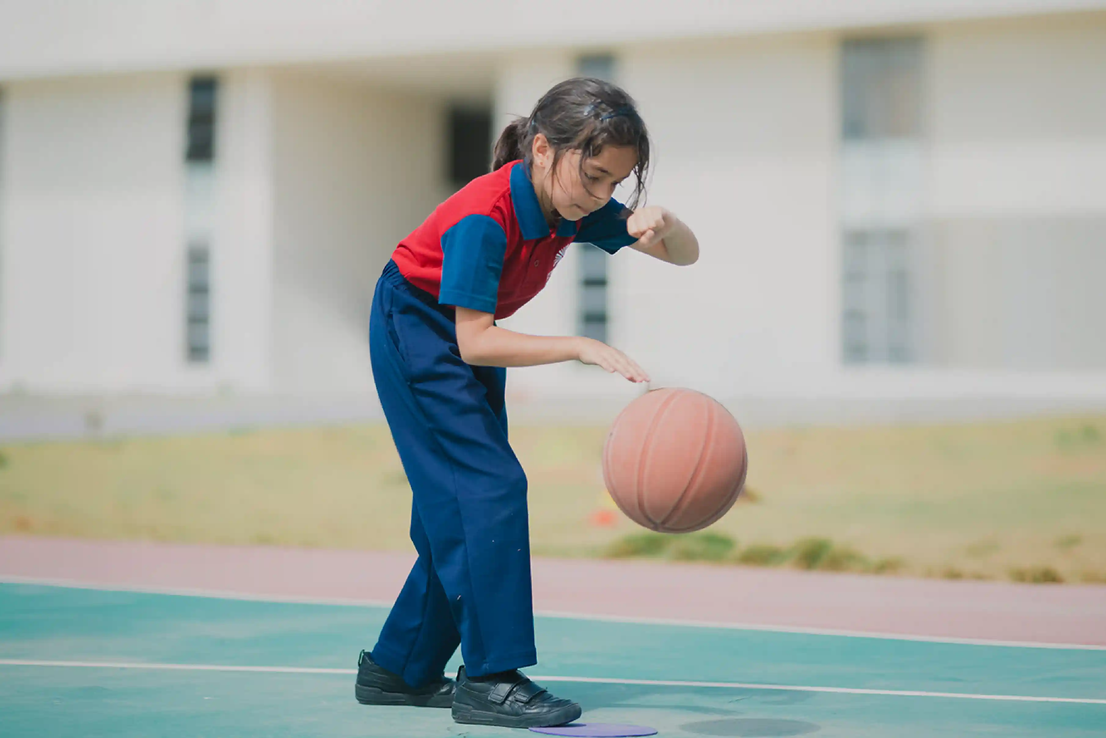 Sports & Physical Education